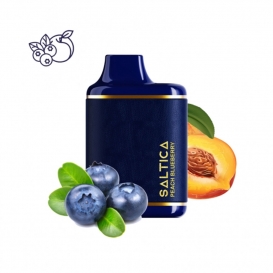 Saltica 6000 Peach Blueberry Disposable